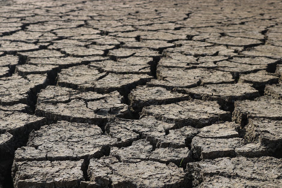 Water Shortage Forces California to Implement First-Ever Statewide Rationing Program in 2026