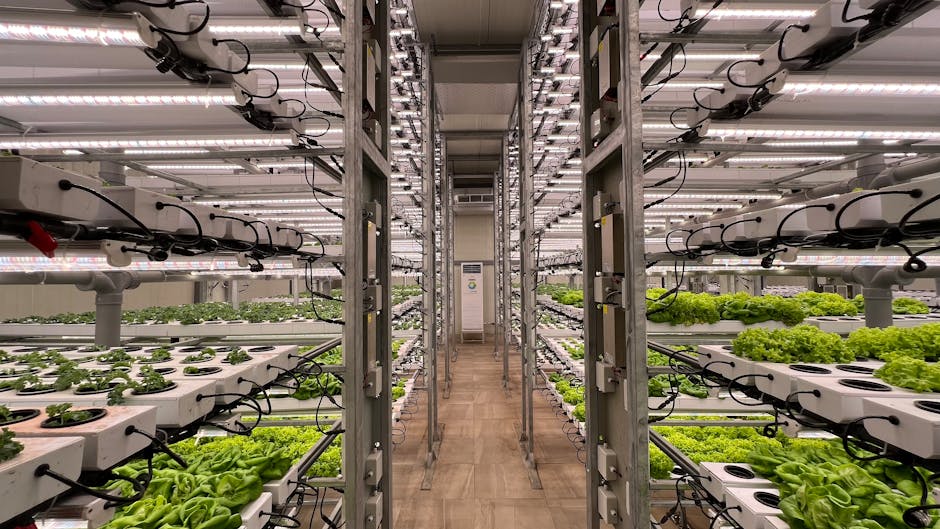Vertical Farming Startups Secure $2.3 Billion in Funding as Traditional Agriculture Struggles