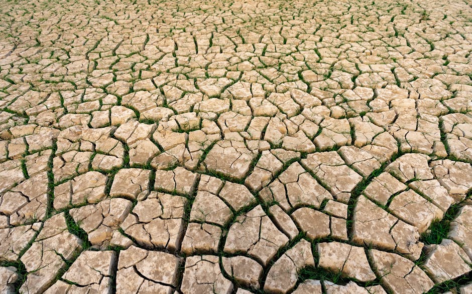Global Food Crisis Deepens as Bee Population Decline Reaches Critical Tipping Point in 2026