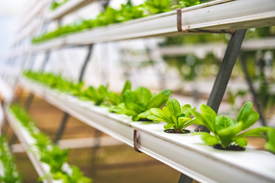 Vertical Farming Startups Secure $2.3 Billion in Funding as Traditional Agriculture Struggles