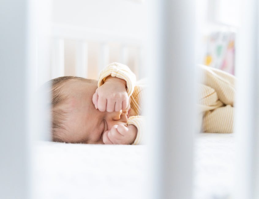 Why Mandatory Sleep Schedules Won't Fix America's Productivity Crisis Despite Corporate Adoption