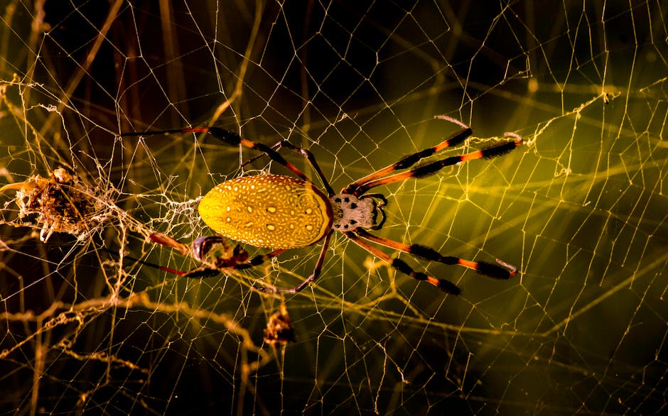 Synthetic Spider Silk Production Reaches Industrial Scale as Textile Revolution Begins in 2026