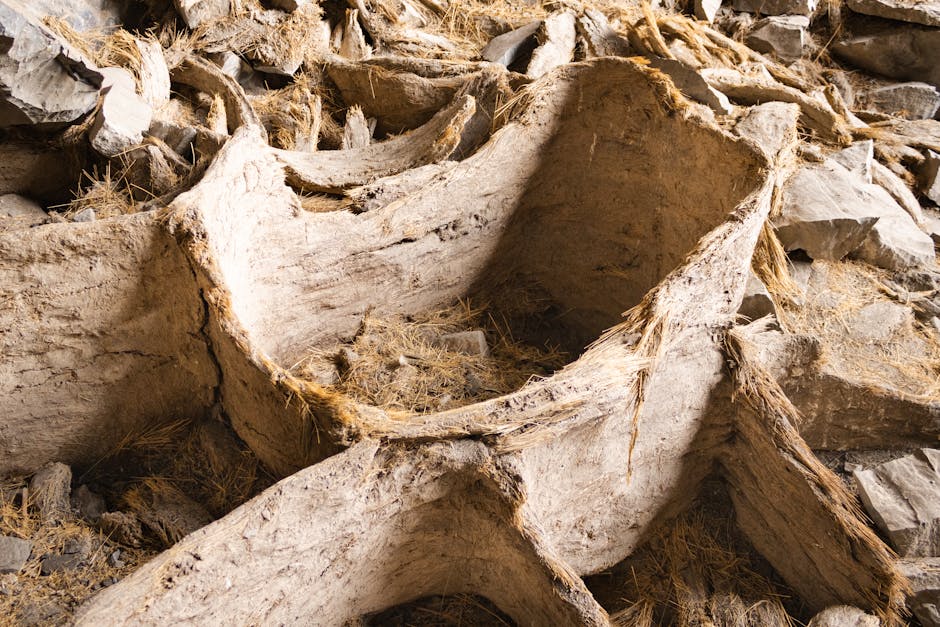 First Archaeological Evidence of Viking Settlements Found in North America's Great Lakes Region