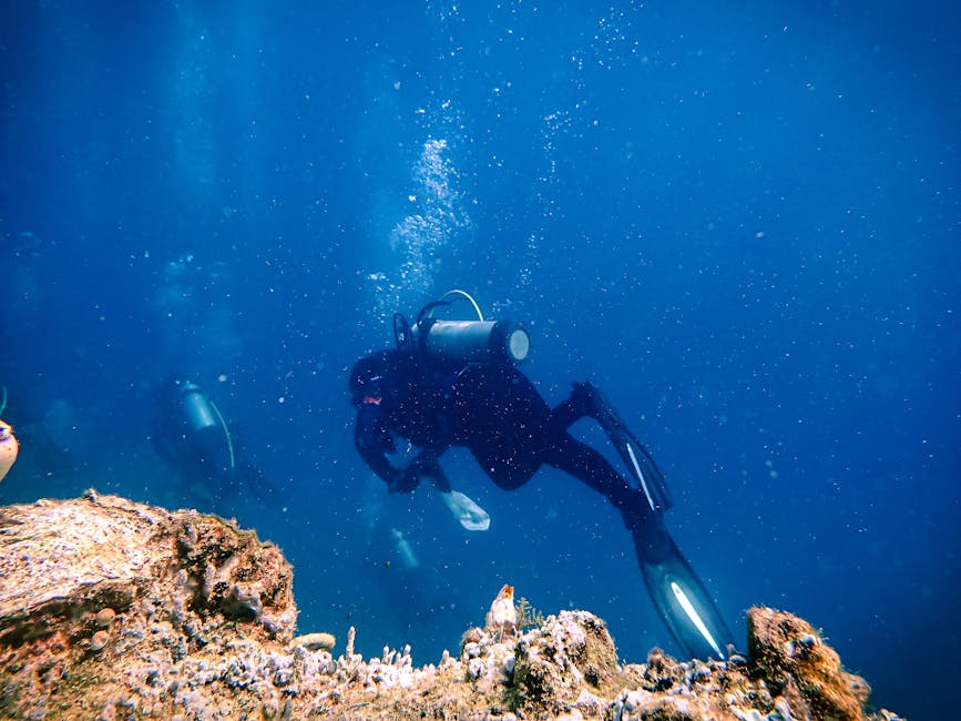 Marine Scientists Discover Massive Underwater Forest Ecosystem Beneath Arctic Ice Sheet in 2026