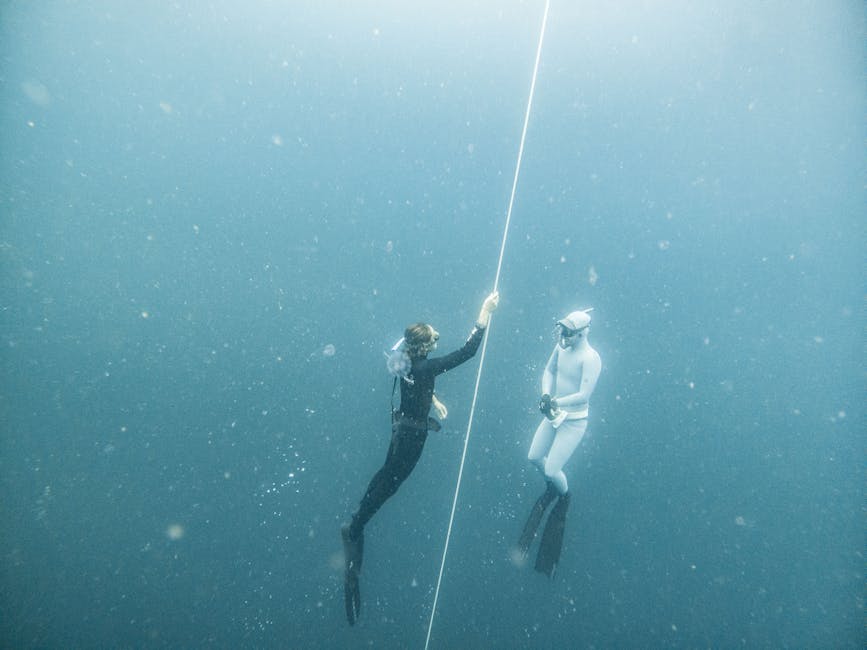 Marine Scientists Discover Massive Underwater Forest Ecosystem Beneath Arctic Ice Sheet in 2026
